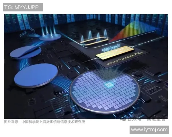 上海网球队的崛起之路：从默默无闻到世界杯舞台的辉煌历程